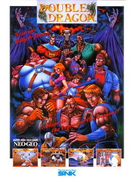 cover Double Dragon